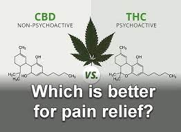 Cannabis Strains For Back Pain