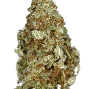 Grape valley kush strain