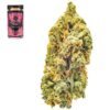 Vanilla kush strain