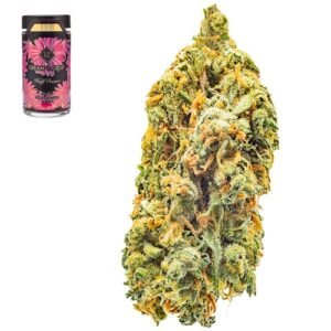 Vanilla kush strain