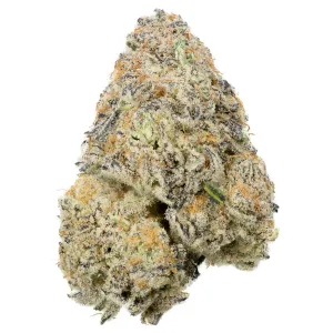 buy Apple Fritter strain online
