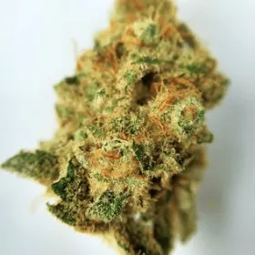buy apple fritter strain online