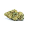 golden kush strain