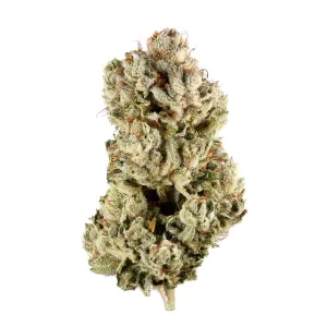 Gorilla Glue for sale