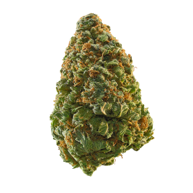 best green crack strain​