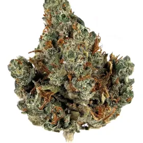 Kandy kush 20 cap