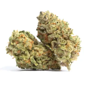 Skunk Korean Strain