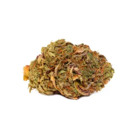 Mango Haze Strain