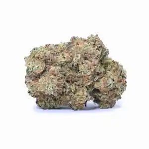 Northern Lights for Sale