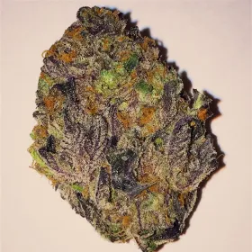 Rainbow Strain