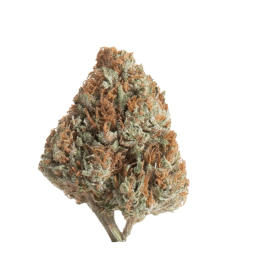 Snow white strain