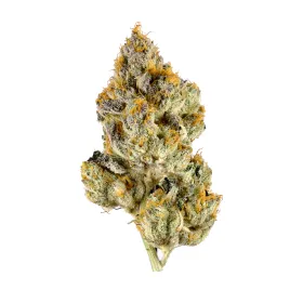 White Tahoe Cookies
