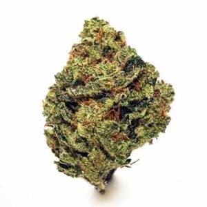 Rs11 x banana og strain​