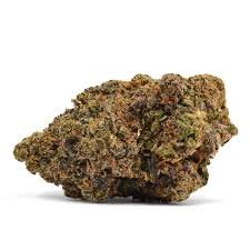 Buy biscotti strain Online