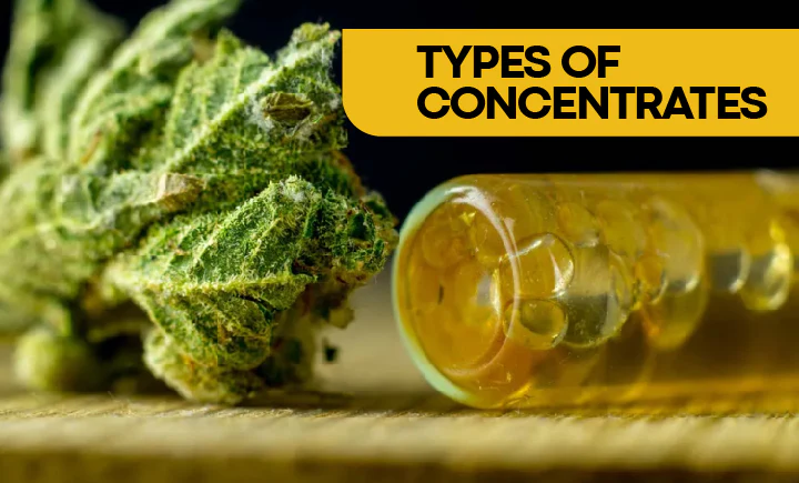 CONCENTRATES