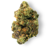 sunset sherbert weed strain