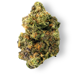 sunset sherbert weed strain