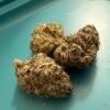 Buy Georgia Pie Strain Online