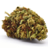 buy white widow​