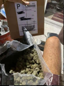 what's the difference between sativa and indica weed effects